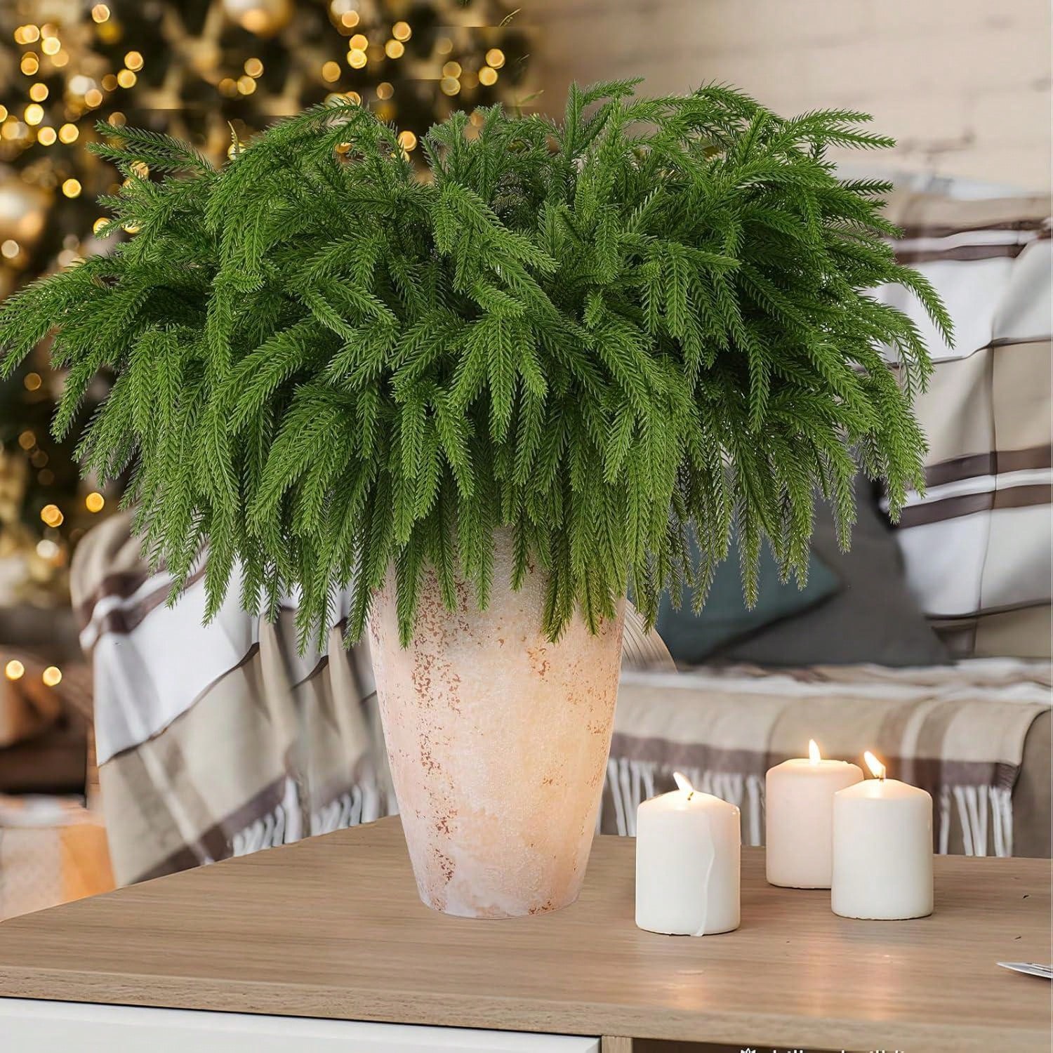 Christmas Norfolk Branches Rea - Dracaena Marginata 评论和价格