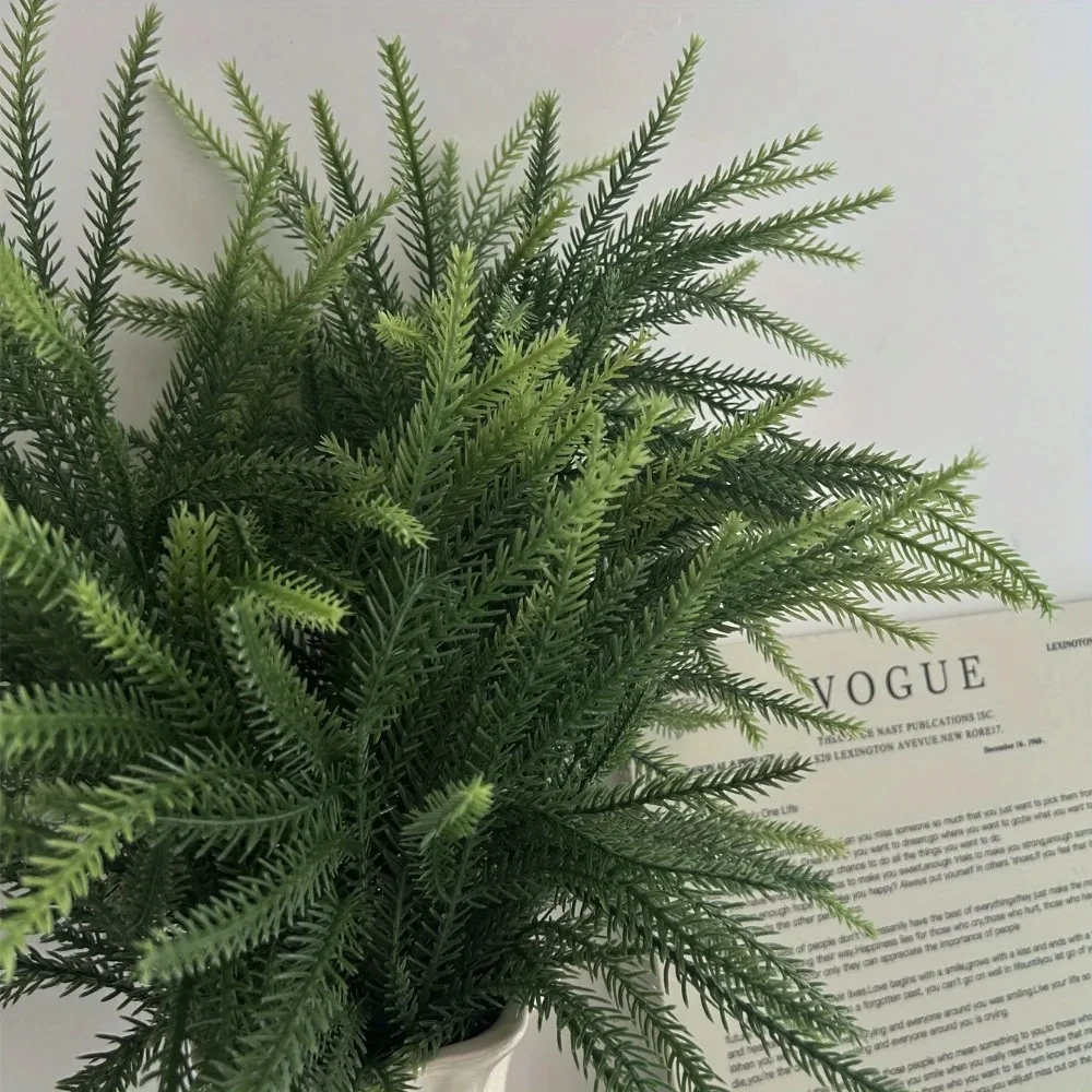 Christmas Norfolk Branches Rea - Dracaena Marginata 评论和价格
