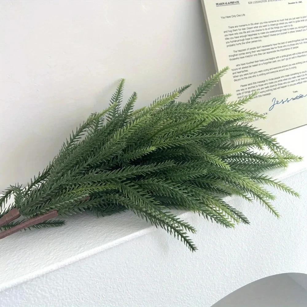 Christmas Norfolk Branches Rea - Dracaena Marginata 评论和价格