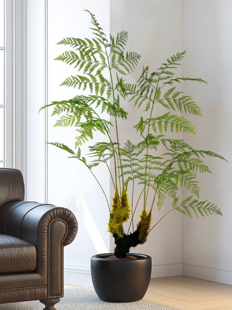 Large Simulated Golden Monkey  - Dracaena Marginata 评论和价格