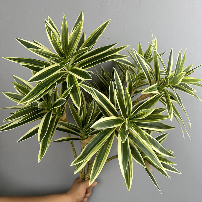 Simulated Green Plants 3 Heads - Dracaena Marginata 评论和价格
